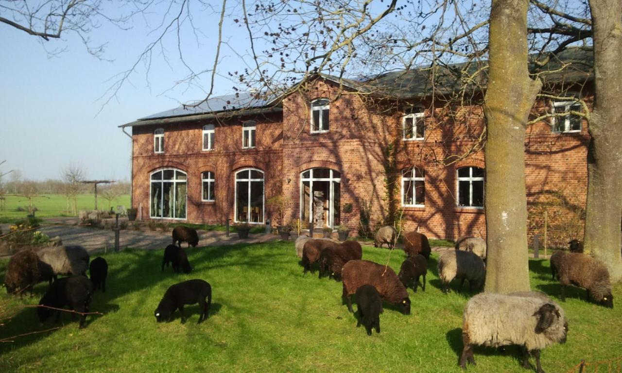 Schaeferwagen Auf Dem Biogut-Saalkow Hotel Gustow  Bagian luar foto