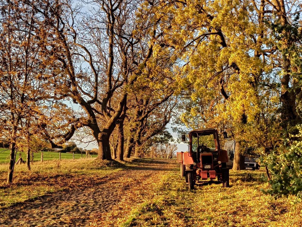 Schaeferwagen Auf Dem Biogut-Saalkow Hotel Gustow  Bagian luar foto